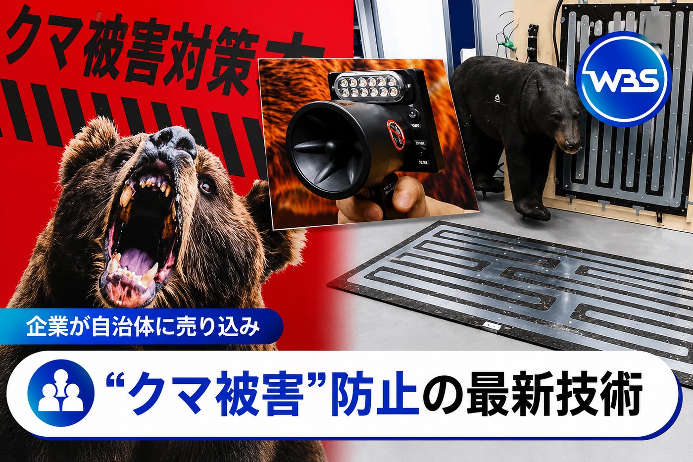テレビ東京「ワールドビジネスサテライト(WBS)」記事サムネイル