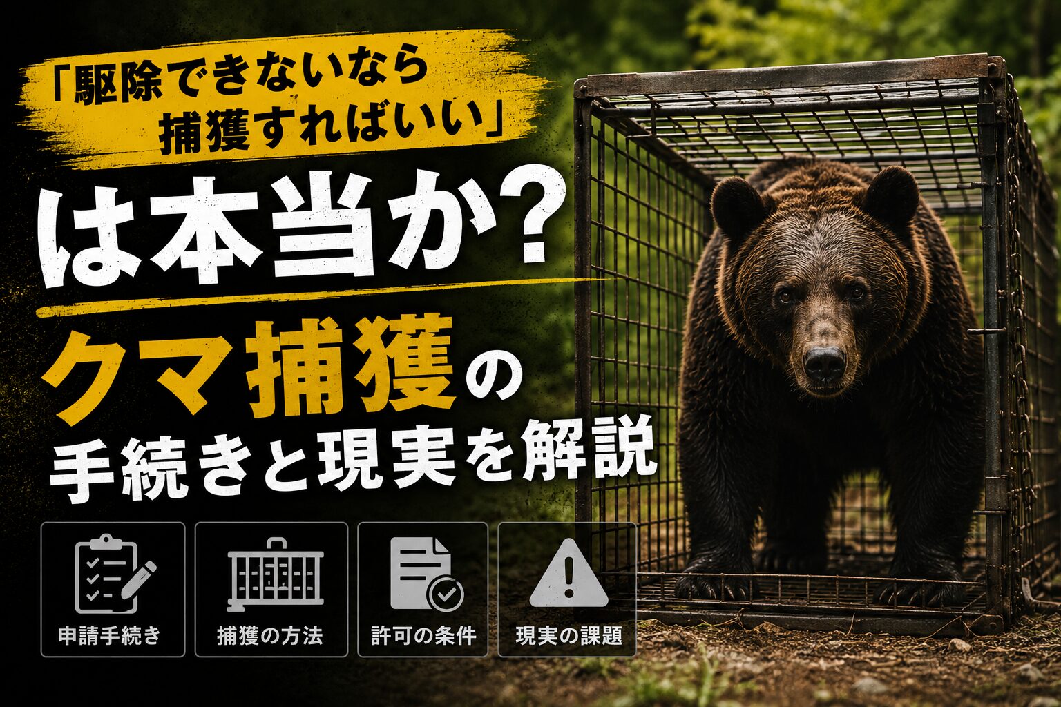 「駆除できないなら捕獲すればいい」は本当か？クマ捕獲の手続きと現実を解説のアイキャッチ画像